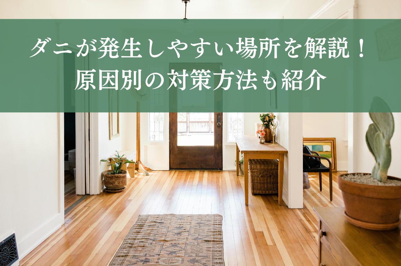 ダニが発生しやすい場所を解説!原因別の対策方法も紹介
